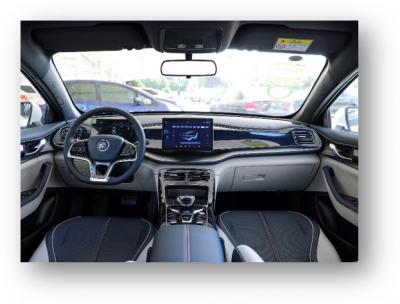 بي واي دي تشين بلس EV
    