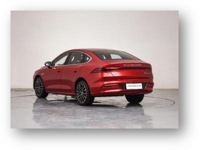 بي واي دي تشين بلس EV
    