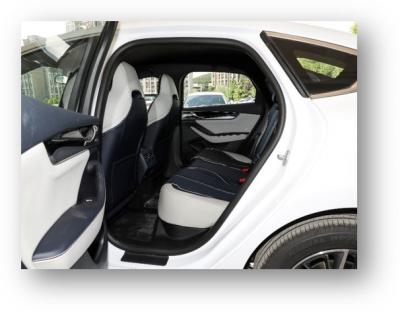 بي واي دي تشين بلس EV
    